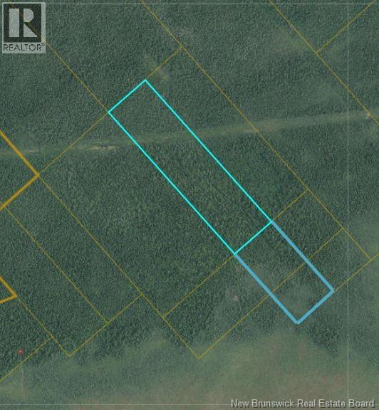31 Acres Off Dunphy Road, Miramichi, New Brunswick  E1N 0B4 - Photo 1 - NB141783