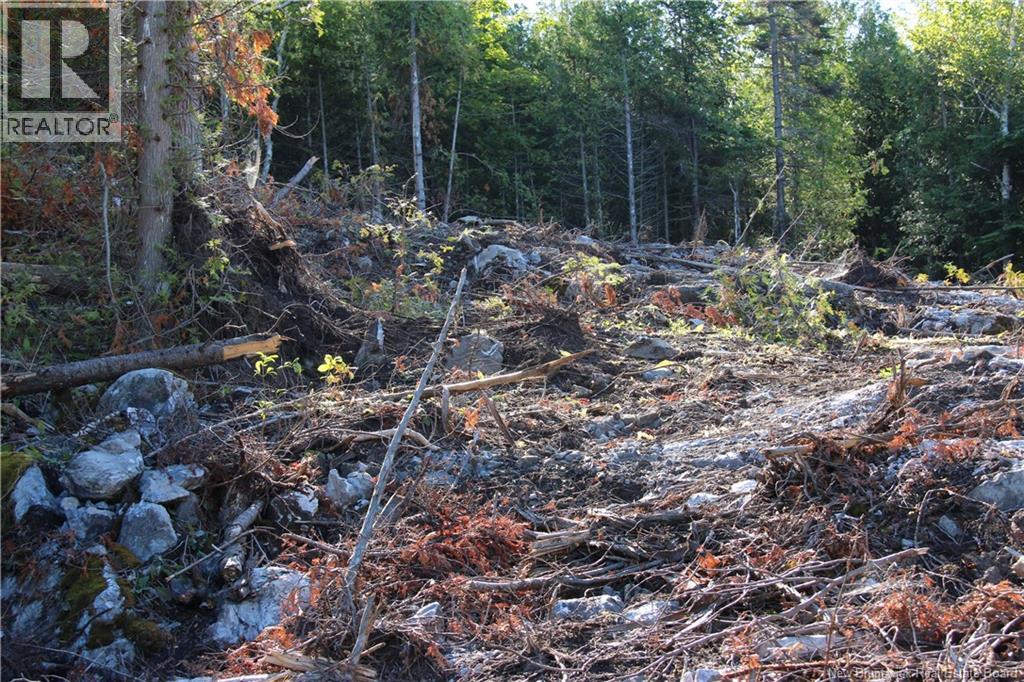 Lot C-9/10 Shoreline Drive, Saint John, New Brunswick E2H 0B2 - Photo 10 - NB141787