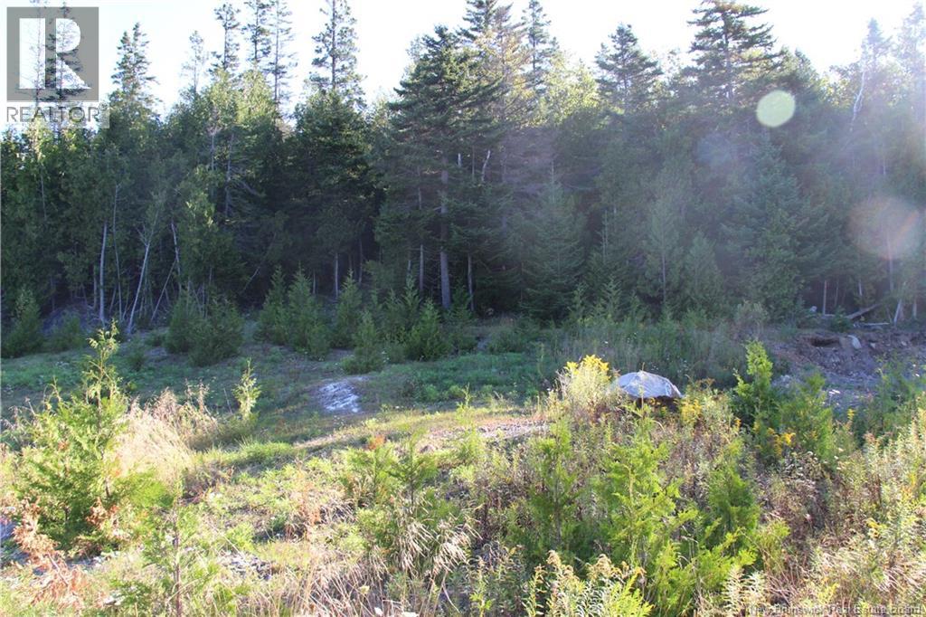 Lot C-9/10 Shoreline Drive, Saint John, New Brunswick E2H 0B2 - Photo 4 - NB141787