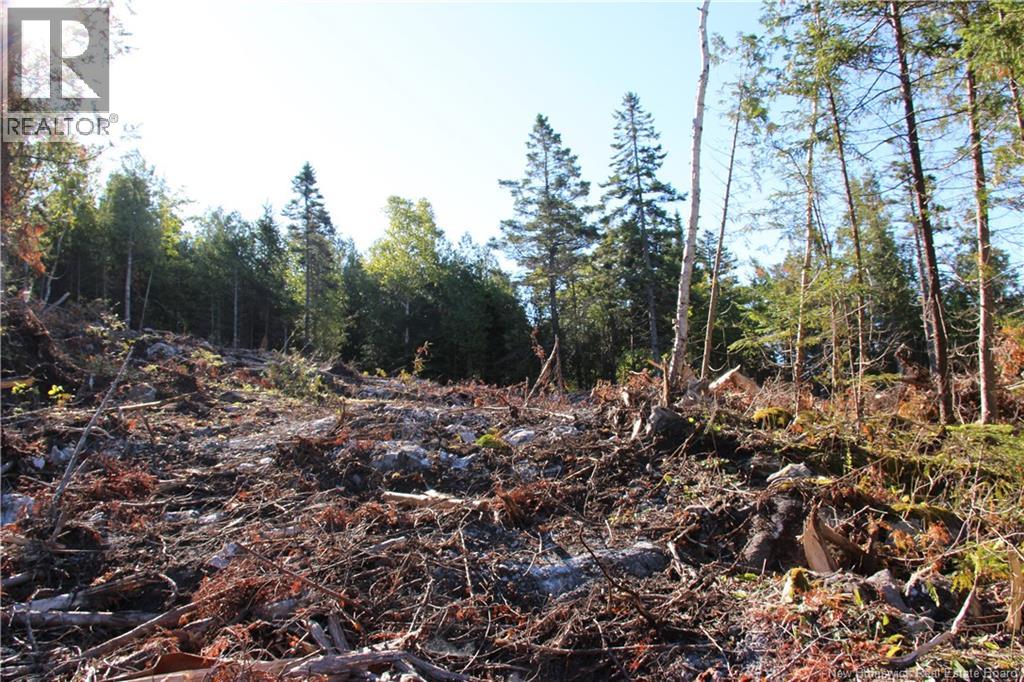 Lot C-9/10 Shoreline Drive, Saint John, New Brunswick E2H 0B2 - Photo 7 - NB141787