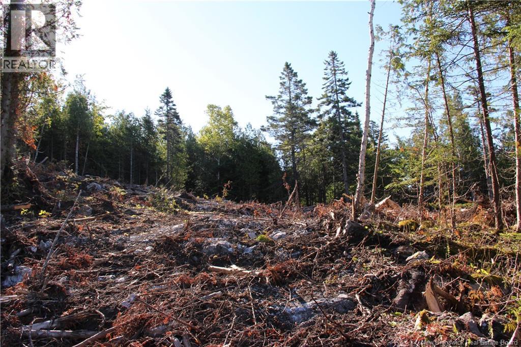 Lot C-9/10 Shoreline Drive, Saint John, New Brunswick E2H 0B2 - Photo 9 - NB141787