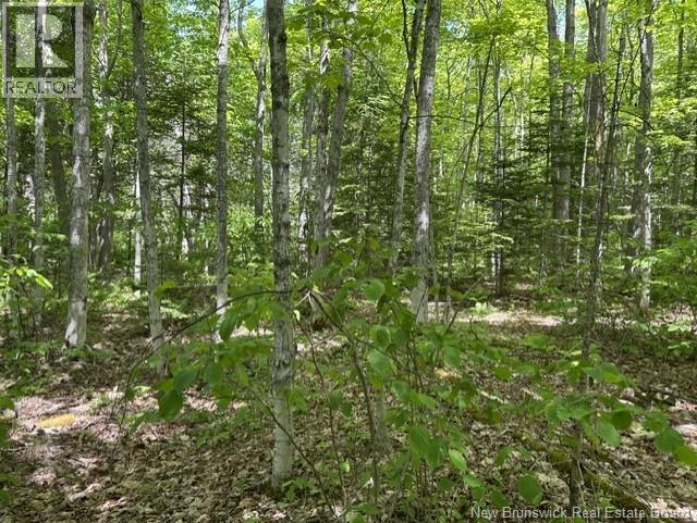 0 Cox Point Road/lois's Lane, Chipman, New Brunswick  E4A 3N9 - Photo 10 - NB141657