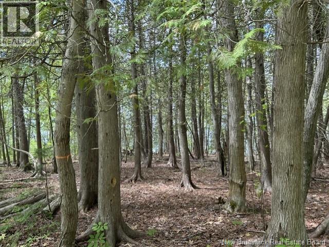 0 Cox Point Road/lois's Lane, Chipman, New Brunswick  E4A 3N9 - Photo 11 - NB141657
