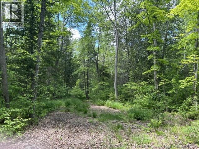 0 Cox Point Road/lois's Lane, Chipman, New Brunswick  E4A 3N9 - Photo 13 - NB141657