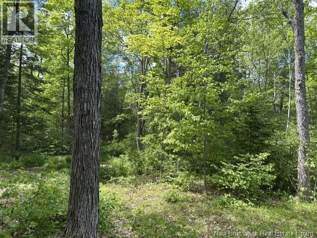 0 Cox Point Road/lois's Lane, Chipman, New Brunswick  E4A 3N9 - Photo 14 - NB141657