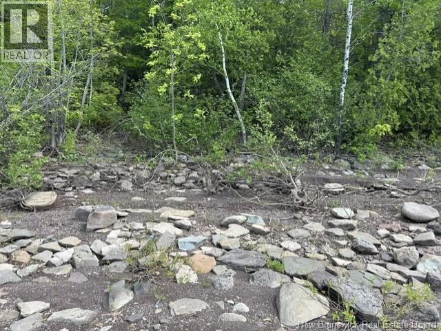 0 Cox Point Road/lois's Lane, Chipman, New Brunswick  E4A 3N9 - Photo 6 - NB141657