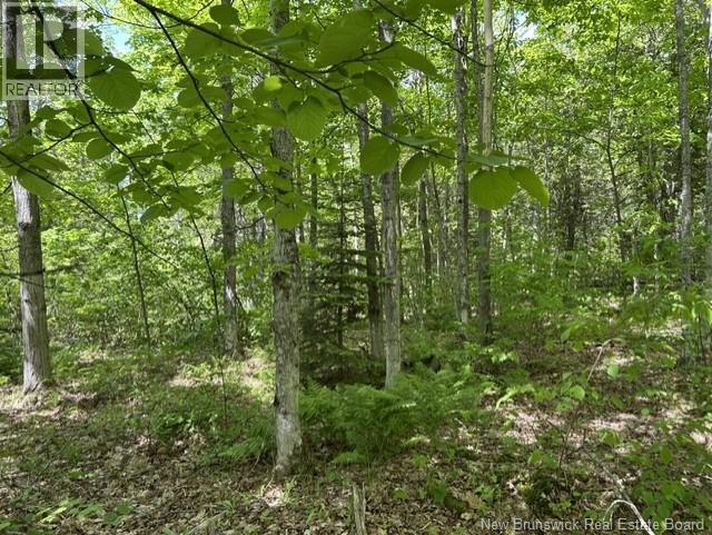 0 Cox Point Road/lois's Lane, Chipman, New Brunswick  E4A 3N9 - Photo 8 - NB141657