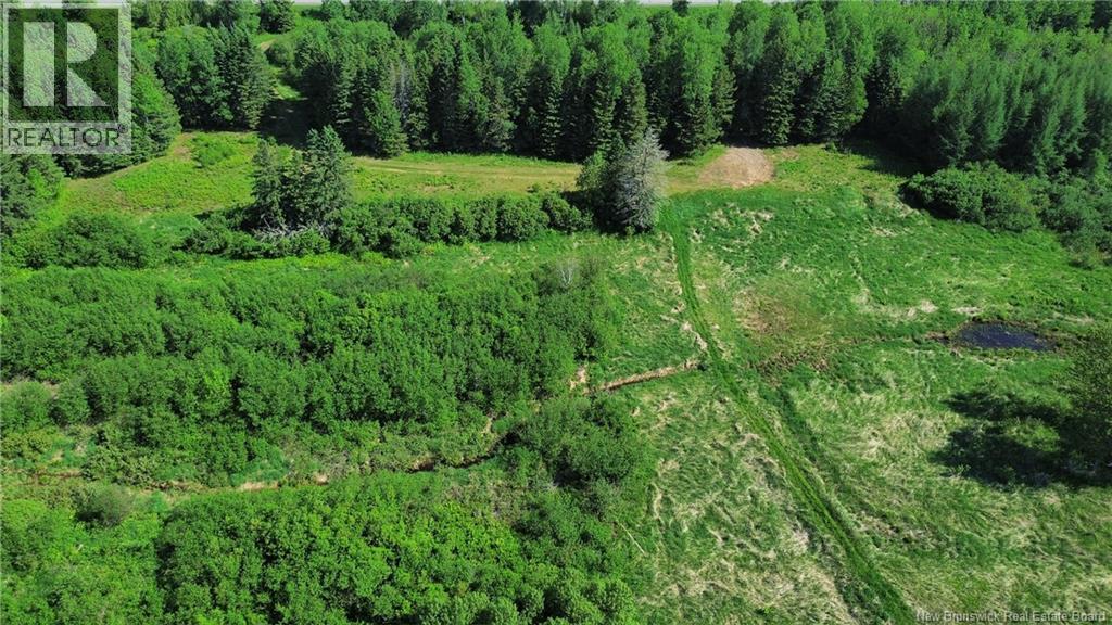 760 Route 385, Sisson Brook, New Brunswick  E7G 3M3 - Photo 3 - NB141778