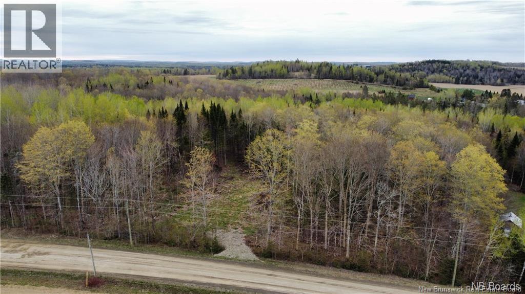 Lot Mckeaghan Road, Williamstown, New Brunswick  E7K 1H1 - Photo 2 - NB141714