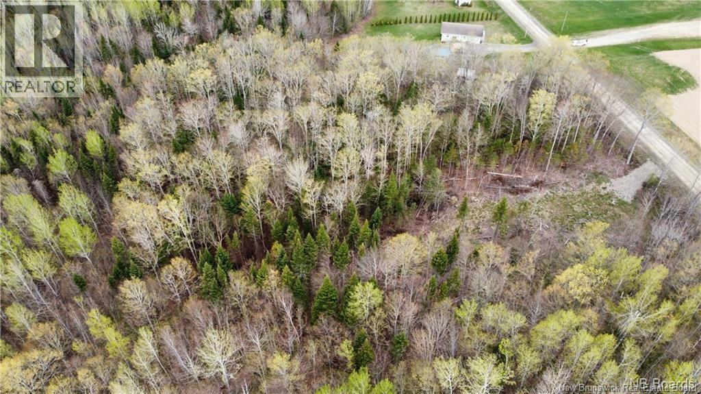 Lot Mckeaghan Road, Williamstown, New Brunswick  E7K 1H1 - Photo 3 - NB141714