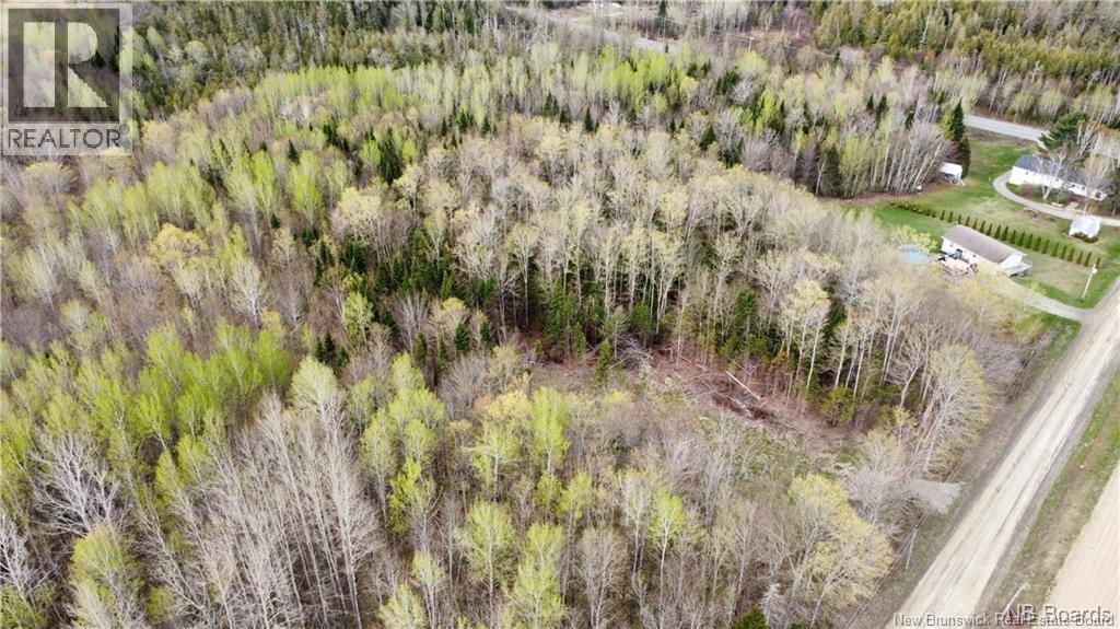 Lot Mckeaghan Road, Williamstown, New Brunswick  E7K 1H1 - Photo 5 - NB141714