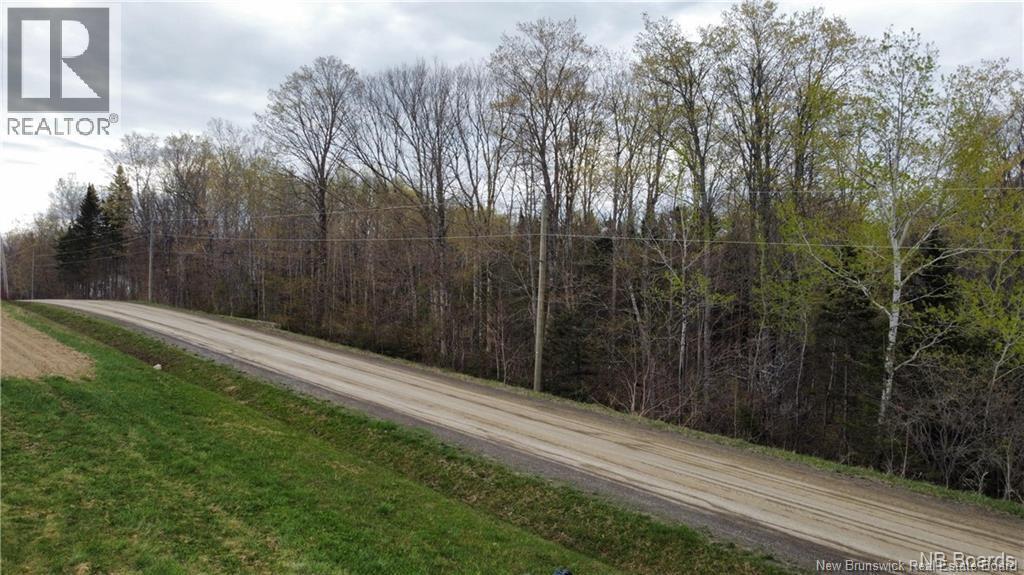 Lot Mckeaghan Road, Williamstown, New Brunswick  E7K 1H1 - Photo 7 - NB141714