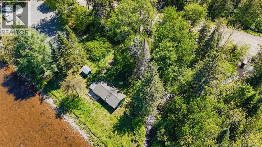 341 Ashland Road, Ashland, New Brunswick  E7P 1V3 - Photo 12 - NB141198