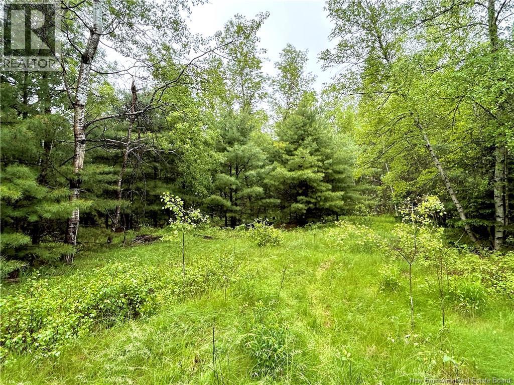 1.44 Acres Kelly Road, Miramichi, New Brunswick  E1N 0B5 - Photo 2 - NB141734