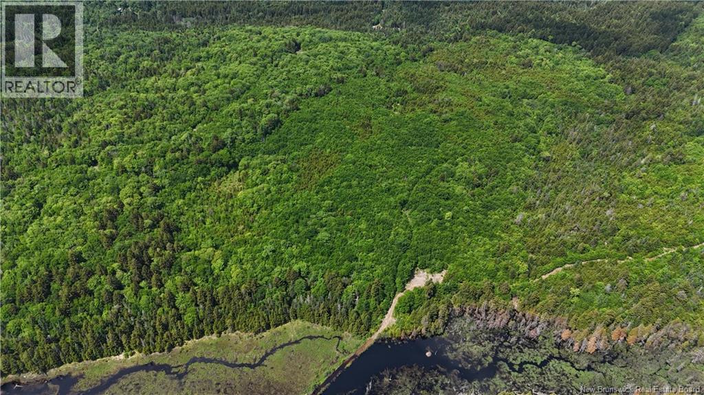 Lot Backland Road, Kingston, New Brunswick  E5N 1E4 - Photo 9 - NB142085