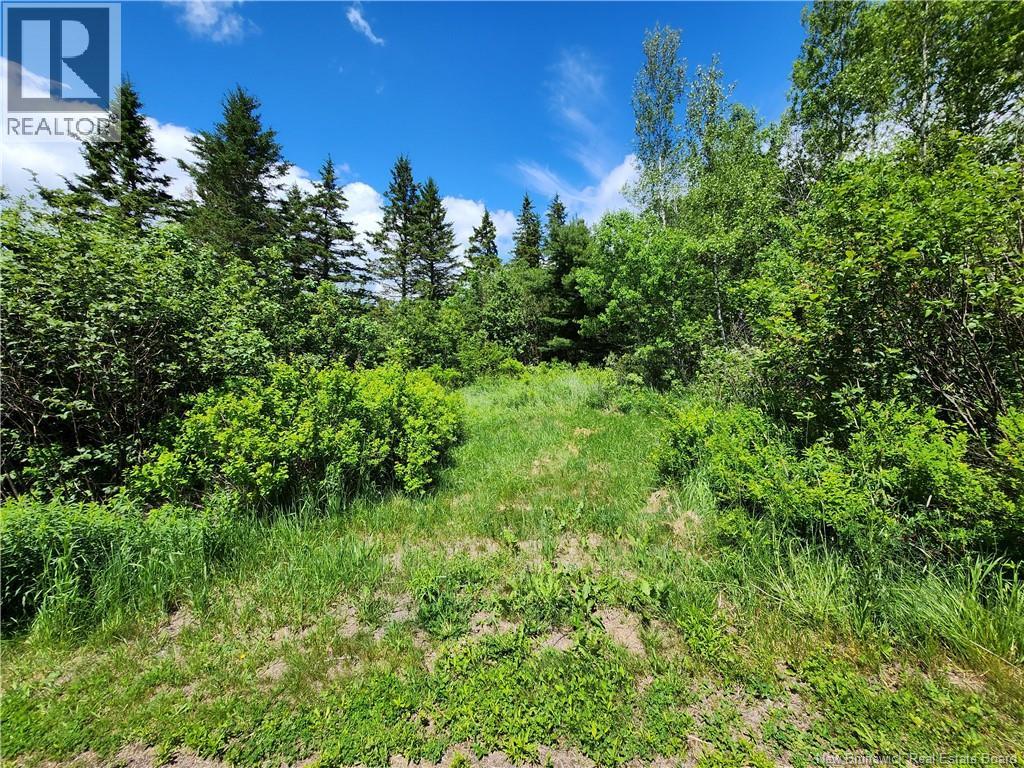 Lot Old Albert Mines, Edgetts Landing, New Brunswick  E4H 1S1 - Photo 2 - NB142090