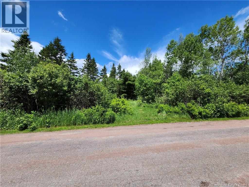 Lot Old Albert Mines, Edgetts Landing, New Brunswick  E4H 1S1 - Photo 5 - NB142090