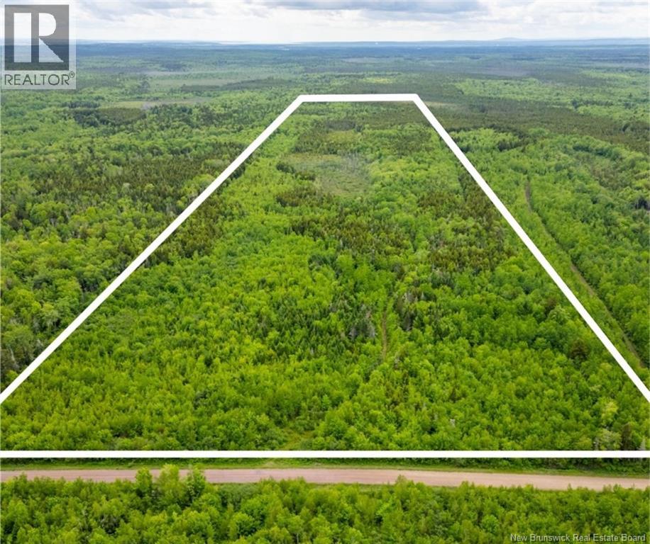 Lot Coburg Road, Port Elgin, New Brunswick E4M 1M5 - Photo 1 - NB142051