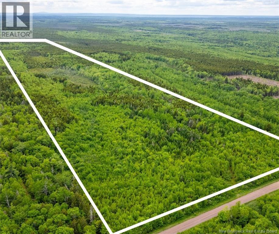 Lot Coburg Road, Port Elgin, New Brunswick E4M 1M5 - Photo 2 - NB142051