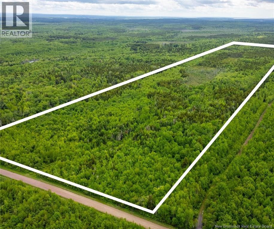 Lot Coburg Road, Port Elgin, New Brunswick E4M 1M5 - Photo 3 - NB142051