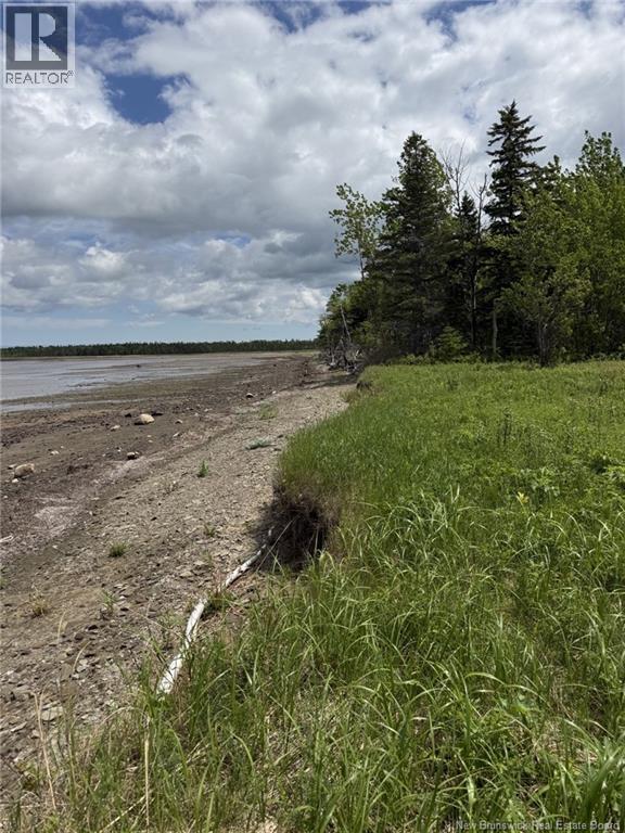 Route 117, Hardwicke, New Brunswick  E9A 1L6 - Photo 2 - NB142222