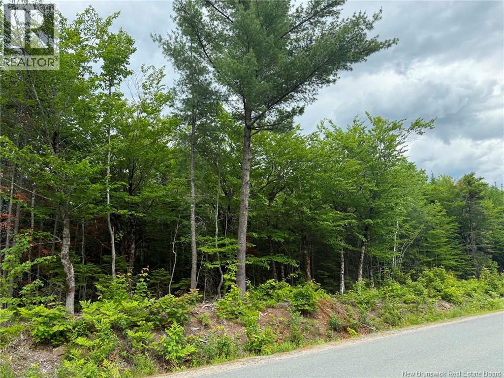 Lot 2 Hansen Road, Miramichi, New Brunswick  E1V 3M2 - Photo 1 - NB142368