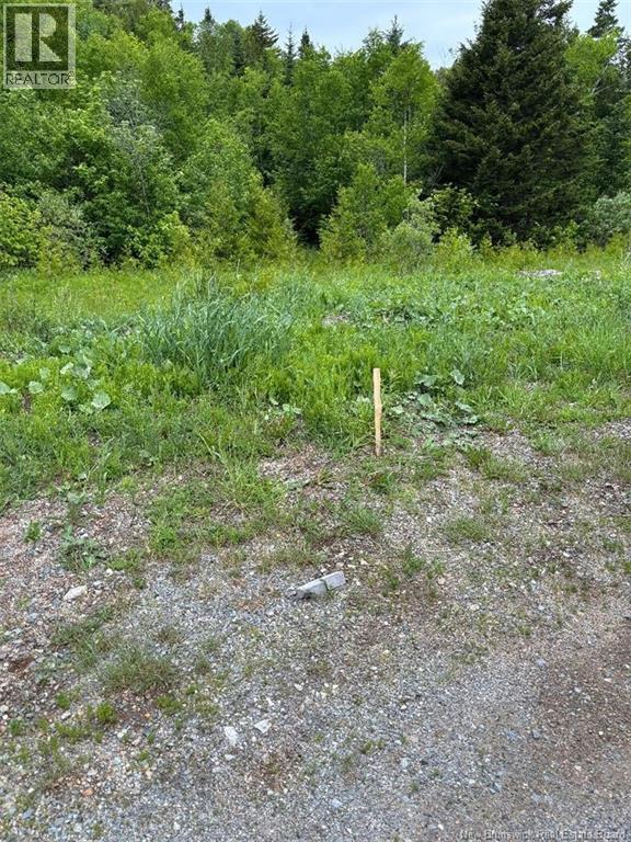 00 Drury Cove Road, Saint John, New Brunswick E2H 0B2 - Photo 1 - NB142311