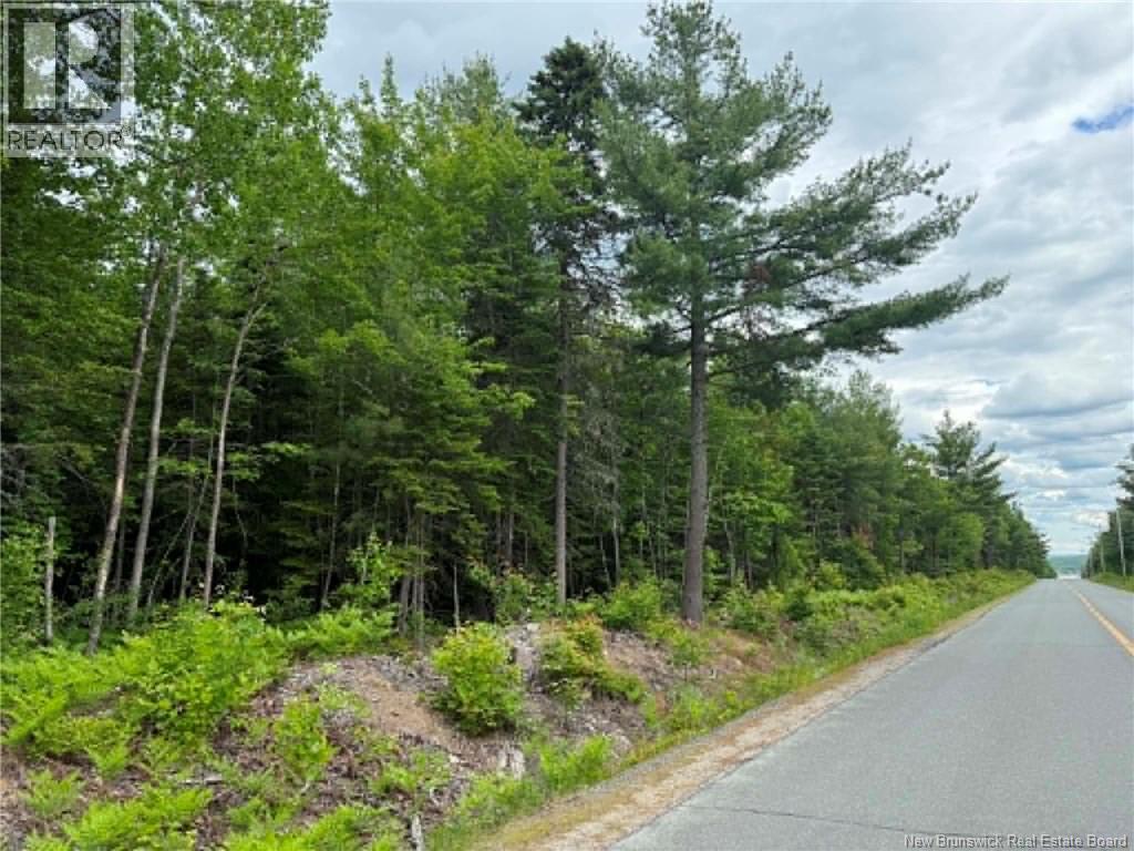 Lot 5 Hansen Road, Miramichi, New Brunswick  E1V 3M2 - Photo 3 - NB142374