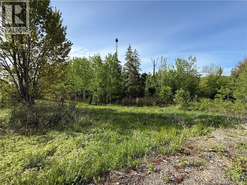926 575 Route, Pole Hill, New Brunswick  E7P 3J1 - Photo 4 - NB142189