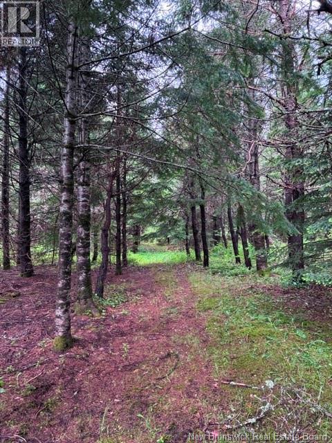 Lot Route 104, Cloverdale, New Brunswick  E7P 1X1 - Photo 10 - NB142281