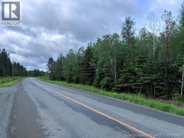 Lot Route 104, Cloverdale, New Brunswick  E7P 1X1 - Photo 11 - NB142281