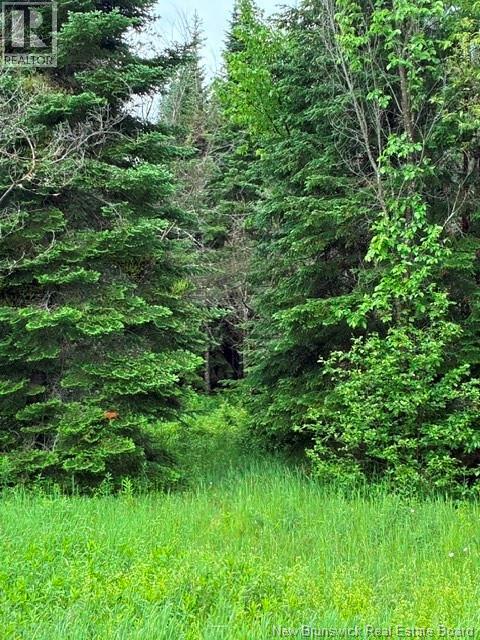Lot Route 104, Cloverdale, New Brunswick  E7P 1X1 - Photo 4 - NB142281