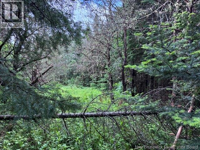 Lot Route 104, Cloverdale, New Brunswick  E7P 1X1 - Photo 8 - NB142281