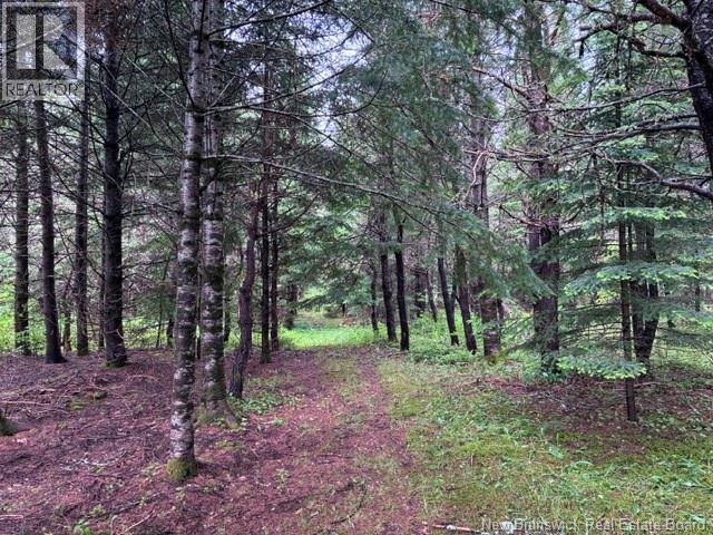 Lot Route 104, Cloverdale, New Brunswick  E7P 1X1 - Photo 9 - NB142281