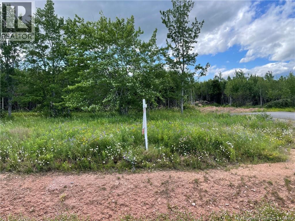 Lot 24-4 Fawcett Avenue, Petitcodiac, New Brunswick  E4Z 4H3 - Photo 1 - NB142485