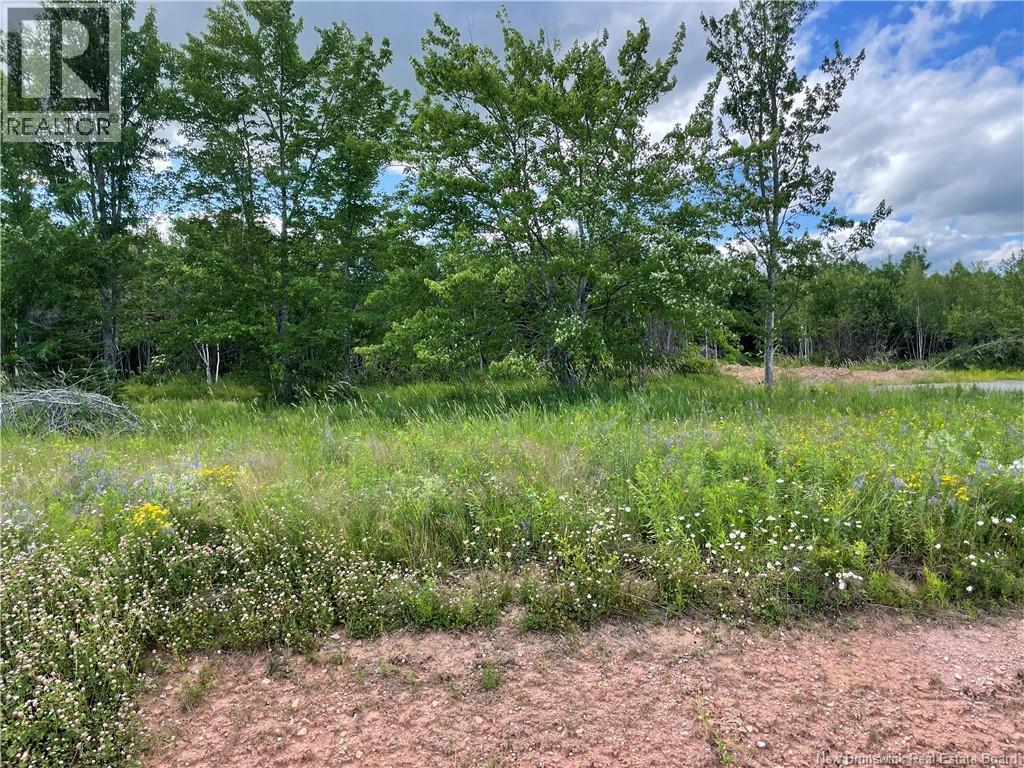 Lot 24-4 Fawcett Avenue, Petitcodiac, New Brunswick  E4Z 4H3 - Photo 2 - NB142485