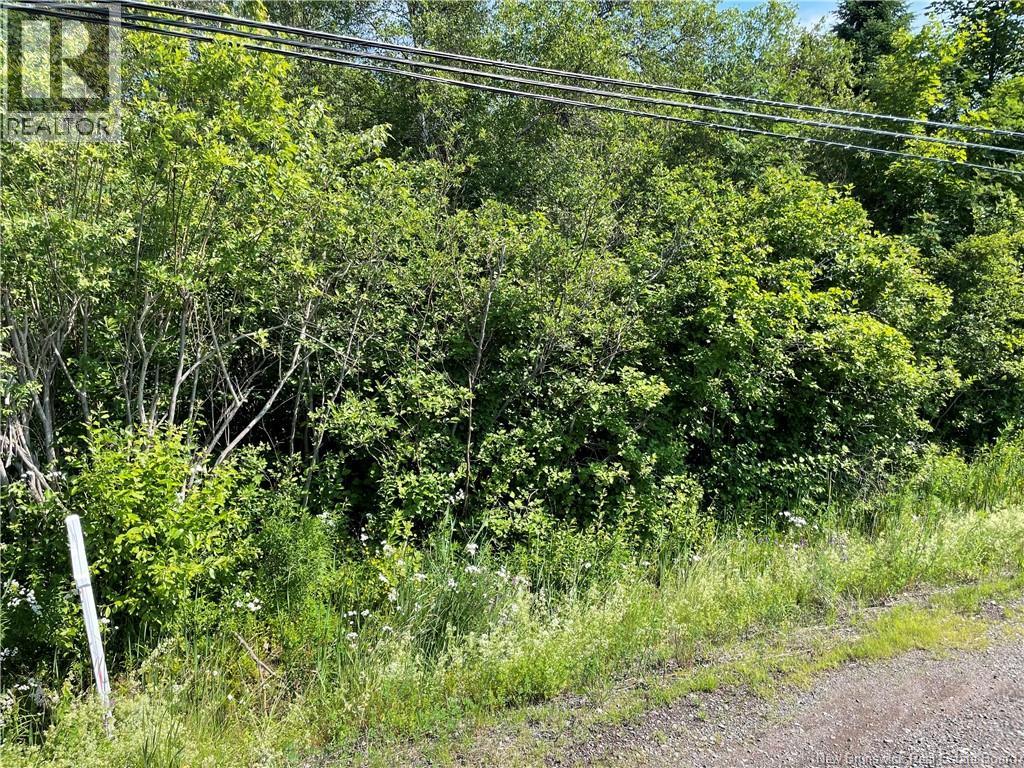 Lot 3 Communication Road, Irishtown, New Brunswick E1H 2G5 - Photo 2 - NB142500