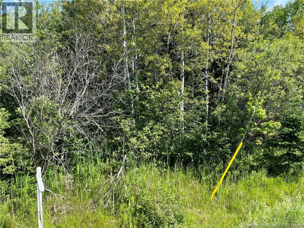Lot 2 Communication Road, Irishtown, New Brunswick E1H 2G5 - Photo 2 - NB142497