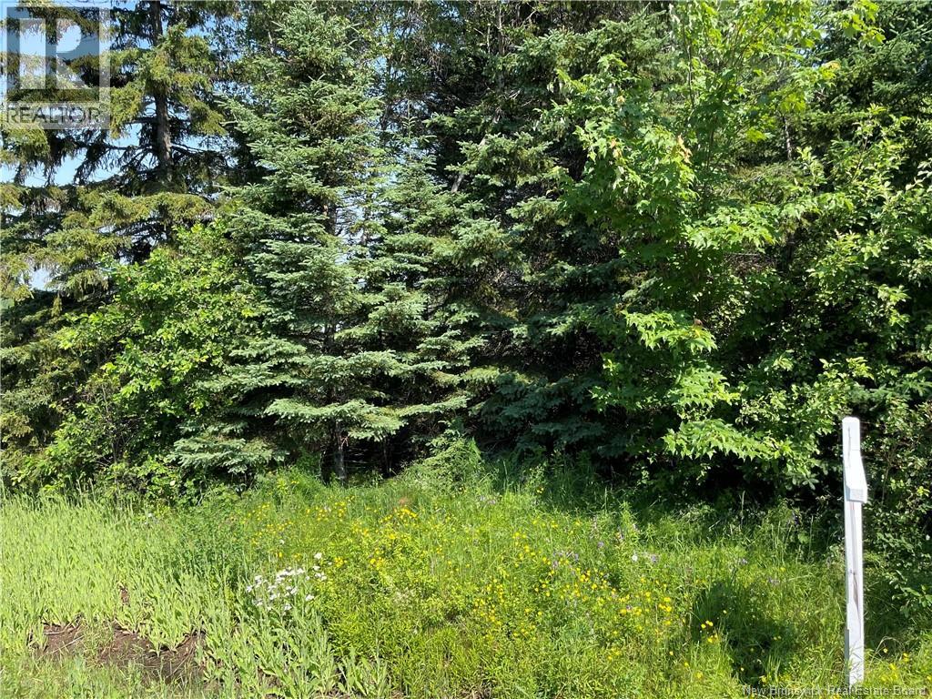 Lot 1 Communication Road, Irishtown, New Brunswick  E1H 2G5 - Photo 2 - NB142496