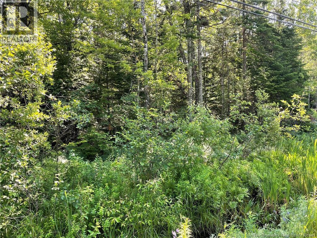 Lot 1 Route 490, Mcquade, New Brunswick E1G 3J4 - Photo 2 - NB142503