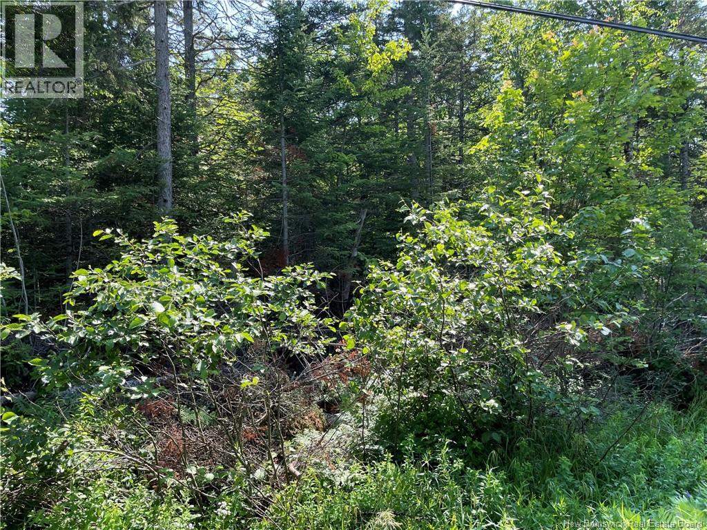 Lot 3 Route 490, McQuade, New Brunswick