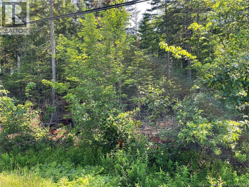 Lot 3 Route 490, Mcquade, New Brunswick E1G 3J4 - Photo 2 - NB142507
