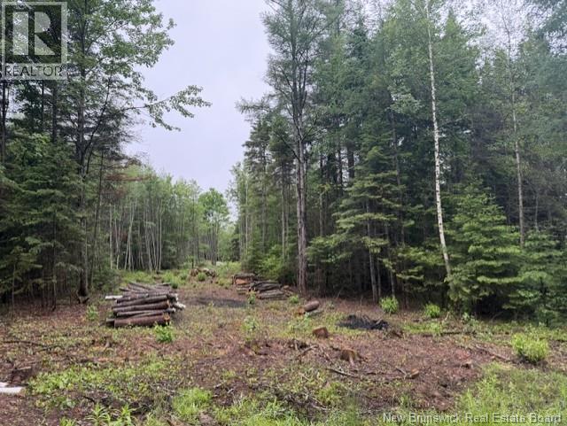 Lot 2 W P Black Lane, New Canaan, New Brunswick  E4Z 5X5 - Photo 2 - NB142333