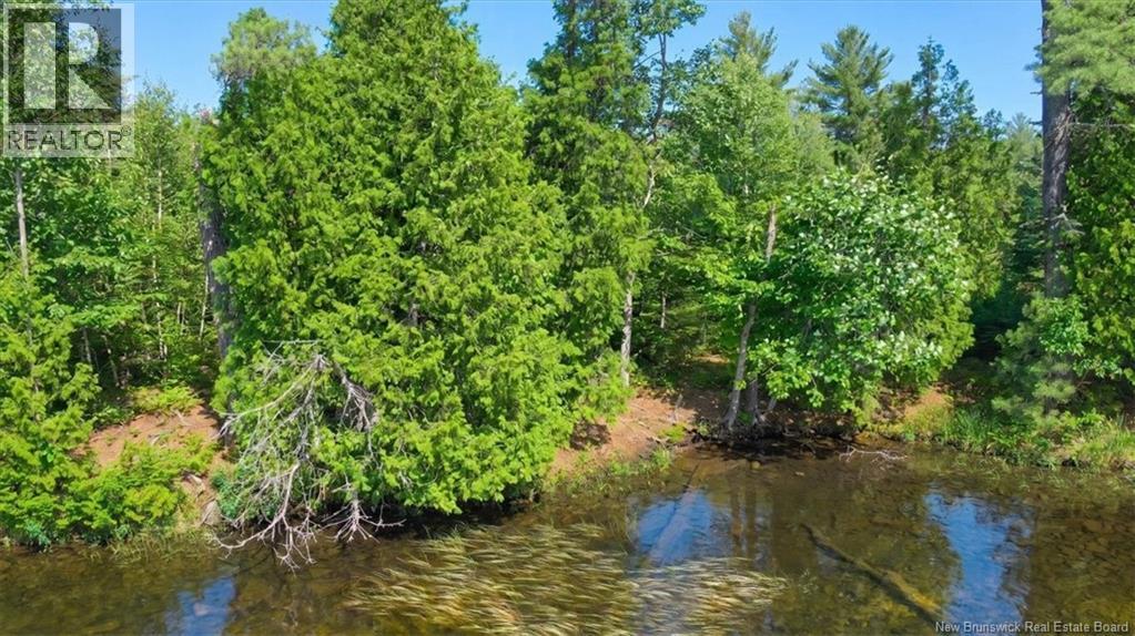 / Chamcook #3 Road, Bayside, New Brunswick  E5B 2X4 - Photo 20 - NB142470