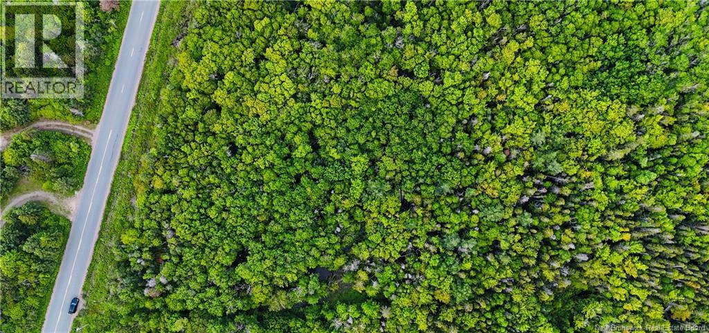2.62 Acres Rue Degrâce, Maisonnette, New Brunswick  E8N 2J4 - Photo 2 - NB142773