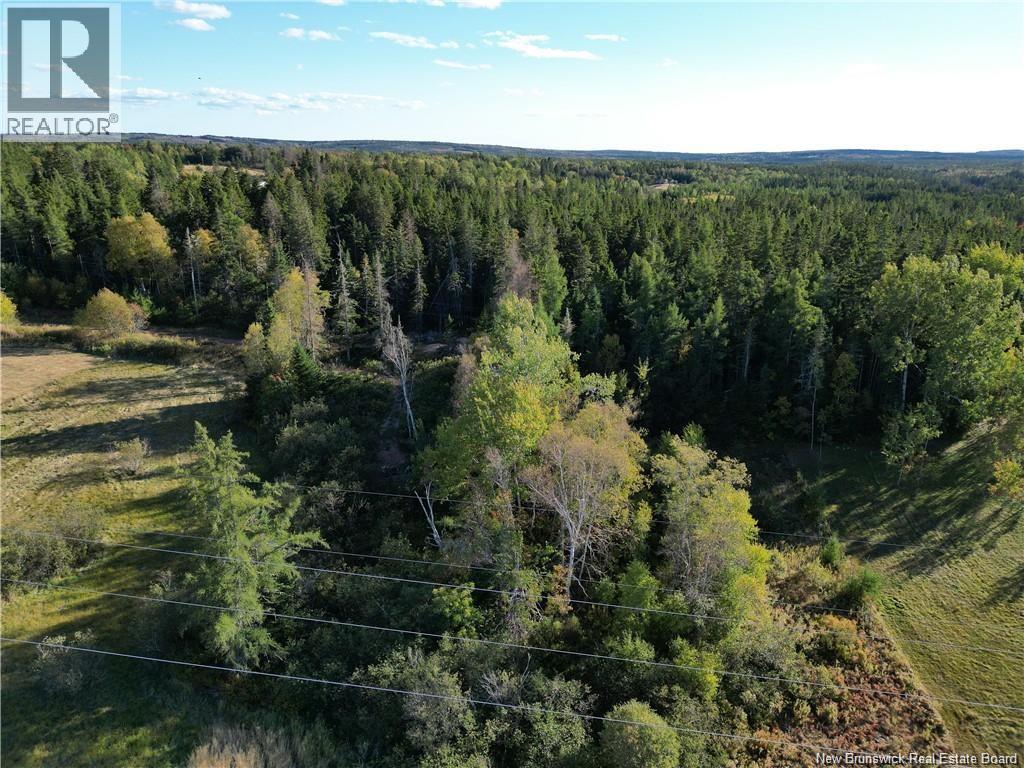 Lot 14-2 King Street, Sackville, New Brunswick  E4L 3G3 - Photo 3 - NB142825