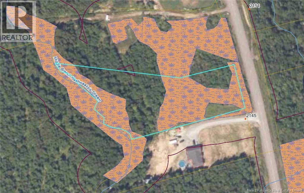 Lot 0 Route 620, Royal Road, New Brunswick  E3G 6N7 - Photo 2 - NB142821