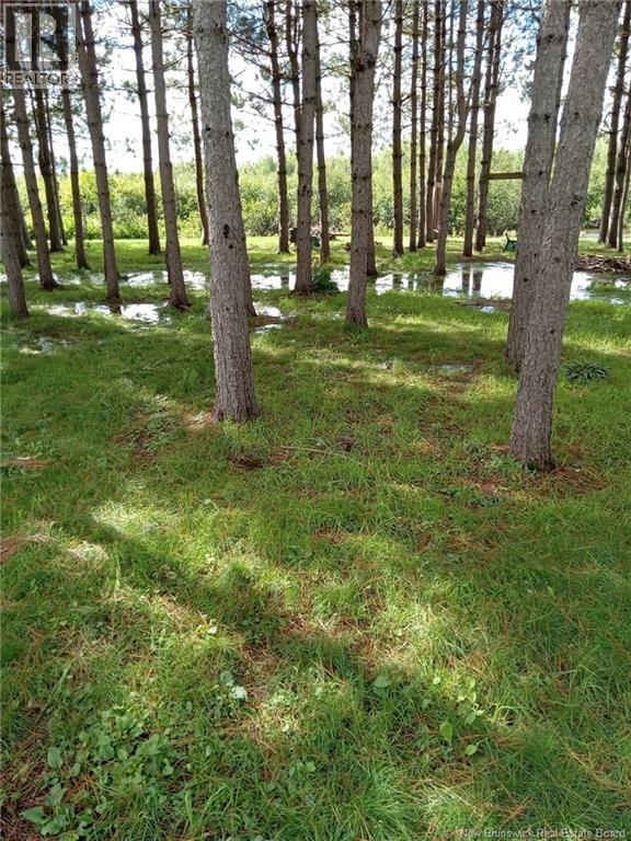 1.84 Acres Route 135, Rang-Saint-Georges, New Brunswick  E8R 2C1 - Photo 11 - NB142872