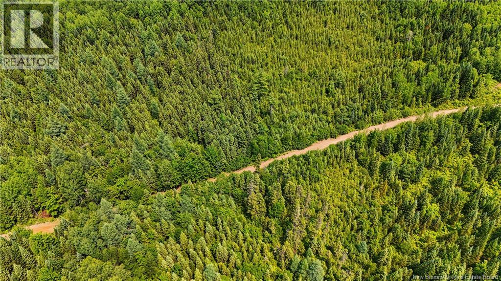 Route 425, Exmoor, New Brunswick  E9E 1L4 - Photo 16 - NB142914