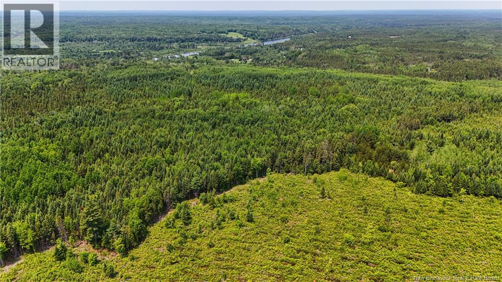 Route 425, Exmoor, New Brunswick  E9E 1L4 - Photo 18 - NB142914